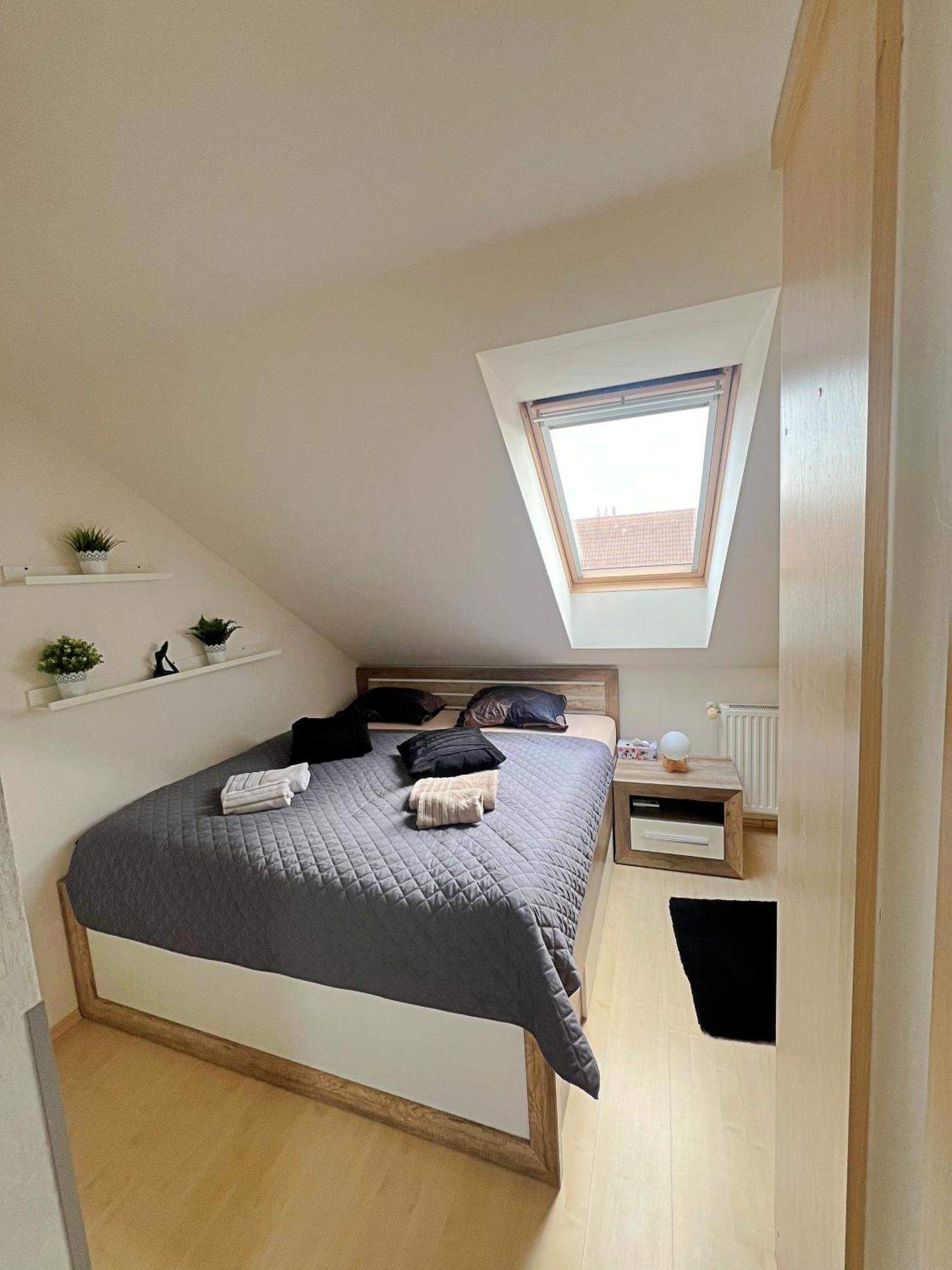 Mezonetovy Apartman V Centru 布拉格 外观 照片