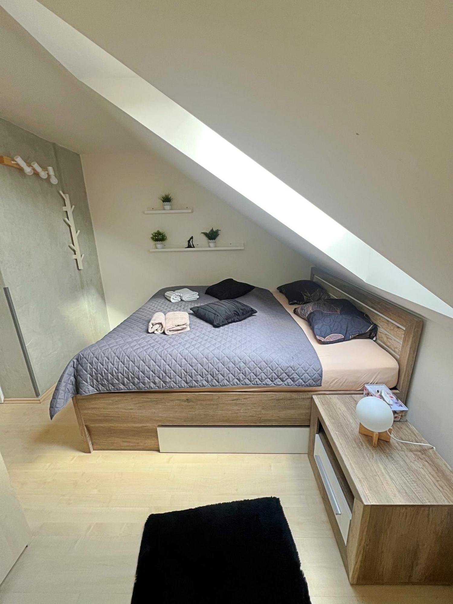Mezonetovy Apartman V Centru 布拉格 外观 照片
