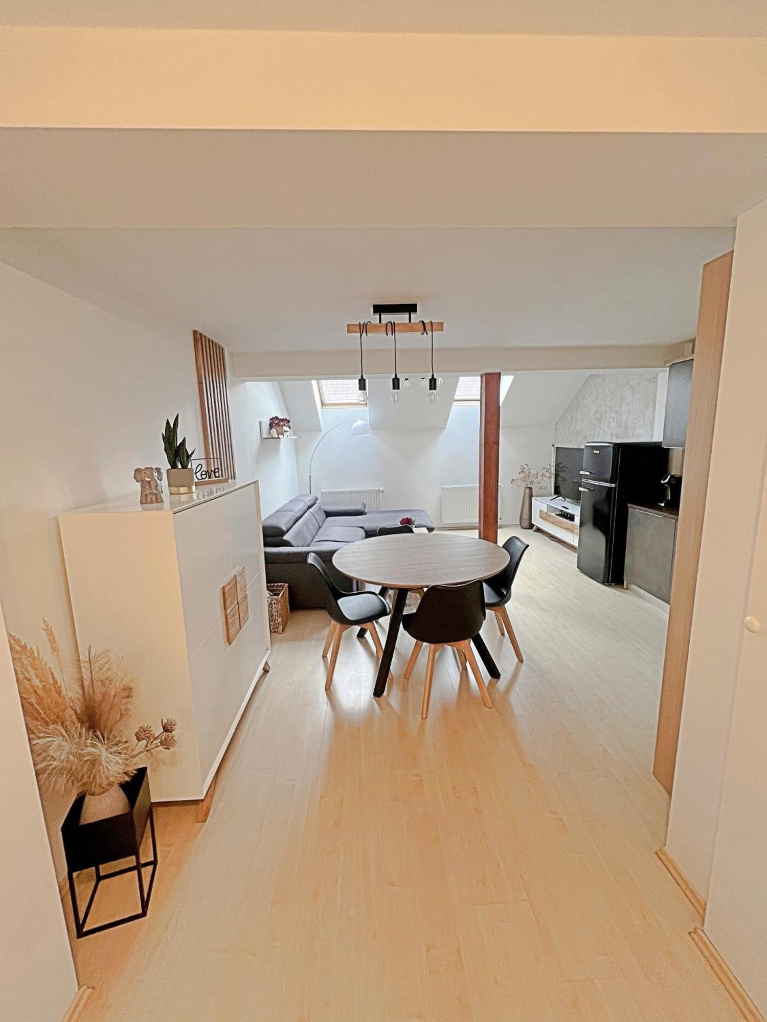 Mezonetovy Apartman V Centru 布拉格 外观 照片